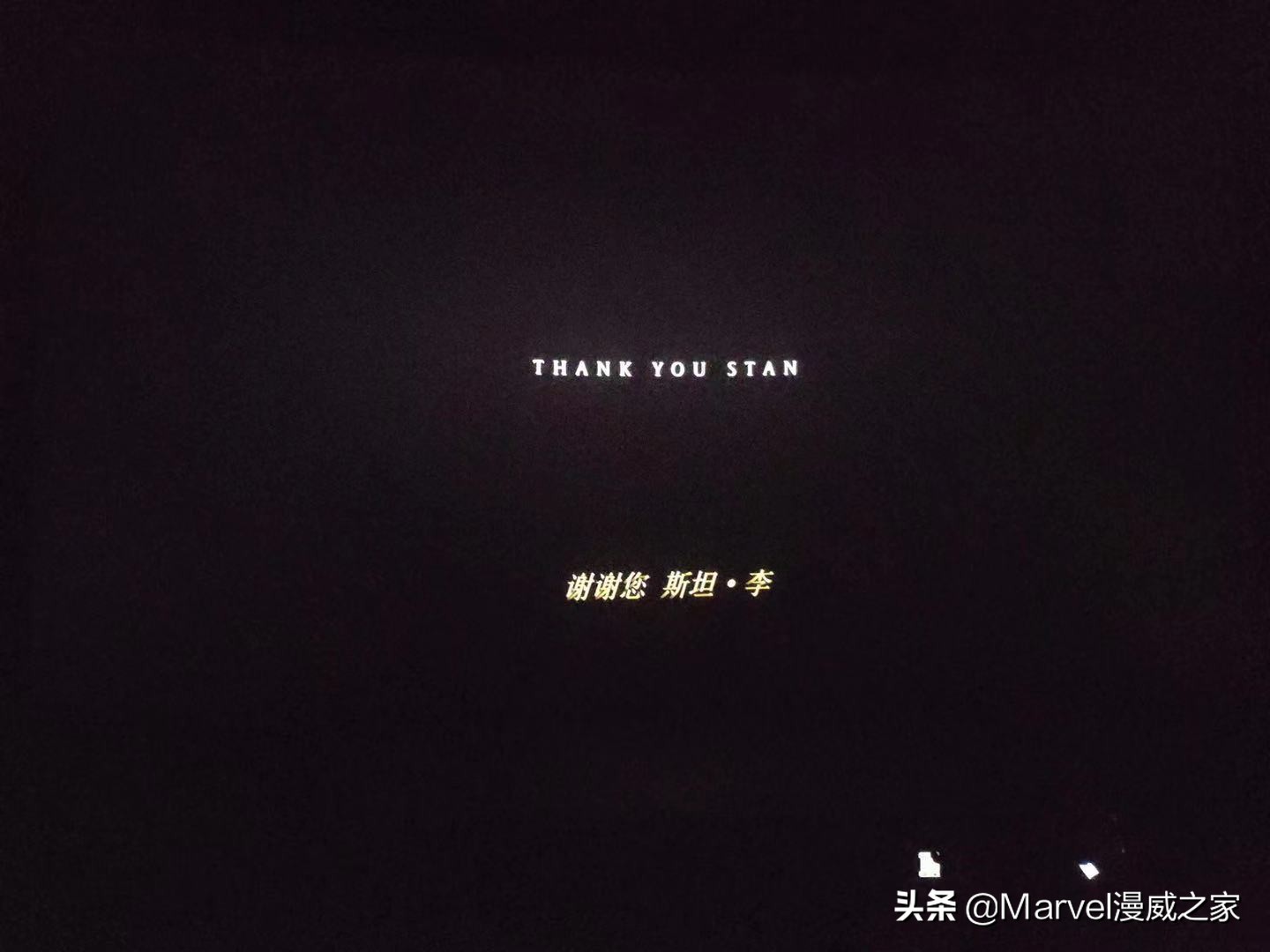 23年新出漫威电影有哪些,未来14部漫威电影总整理