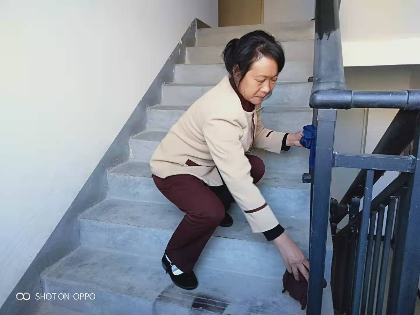 凤凰城二期物业管理,凤凰城物业现状