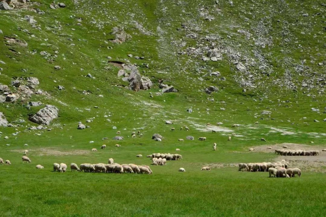 乌孙古道第二天,乌孙古道深度解析