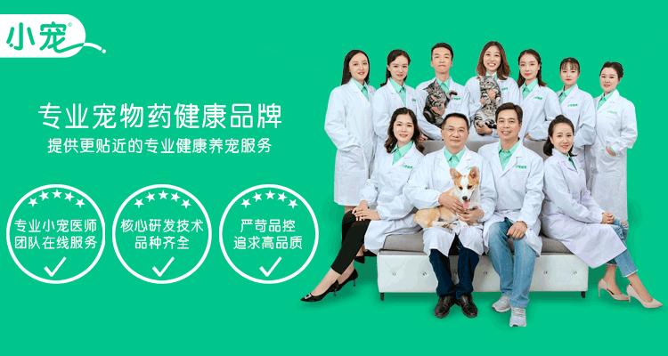 猫咪得了猫鼻支吃啥药啊,猫咪得了猫鼻支不吃药怎么办