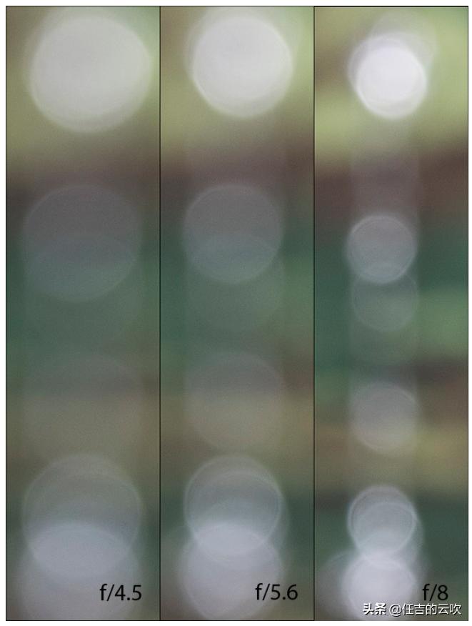 佳能rf100-500镜头打鸟体验,佳能rf100f2.8微距评测