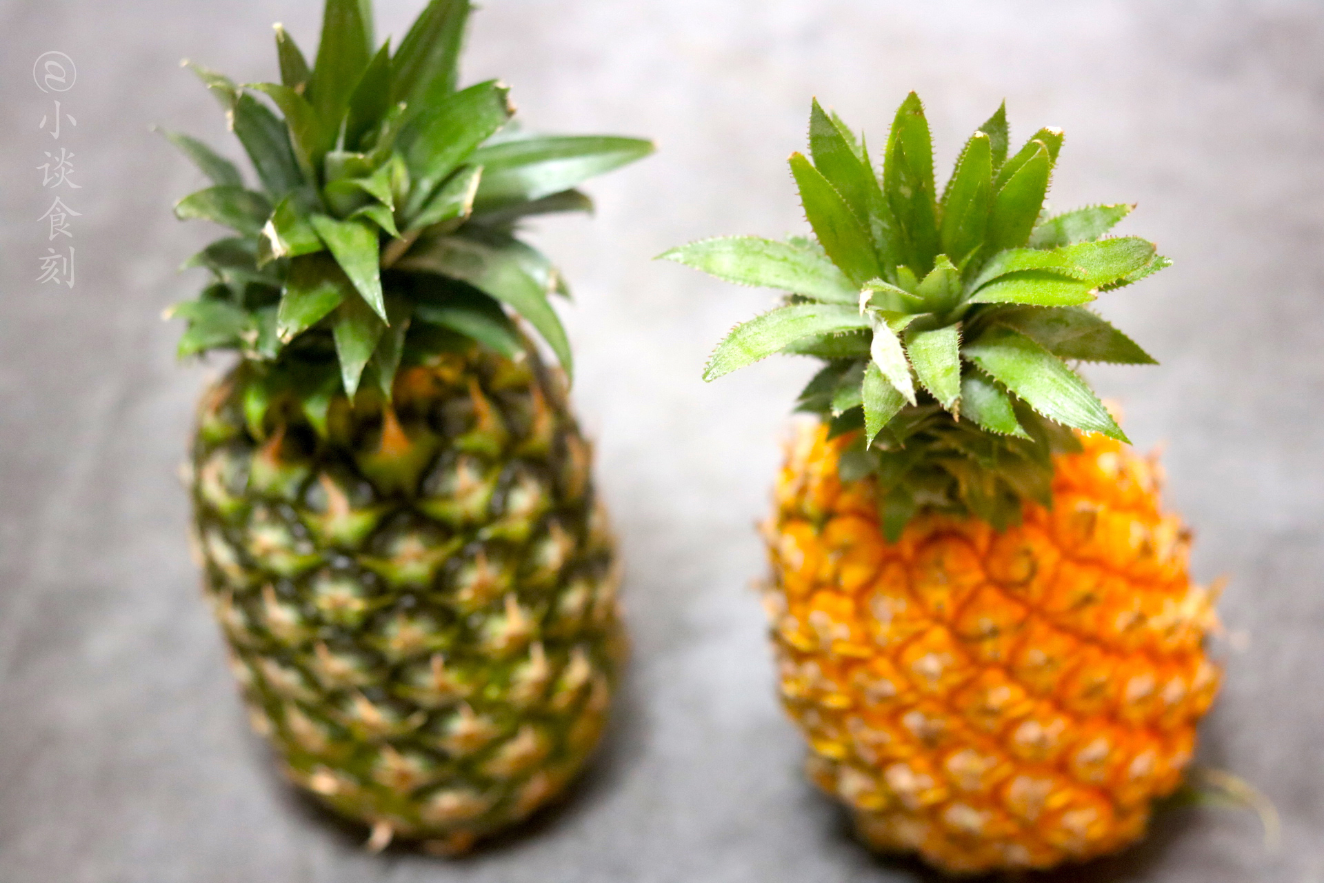 菠萝是凤梨吗凤梨是菠萝吗,你知道菠萝和凤梨有什么区别吗