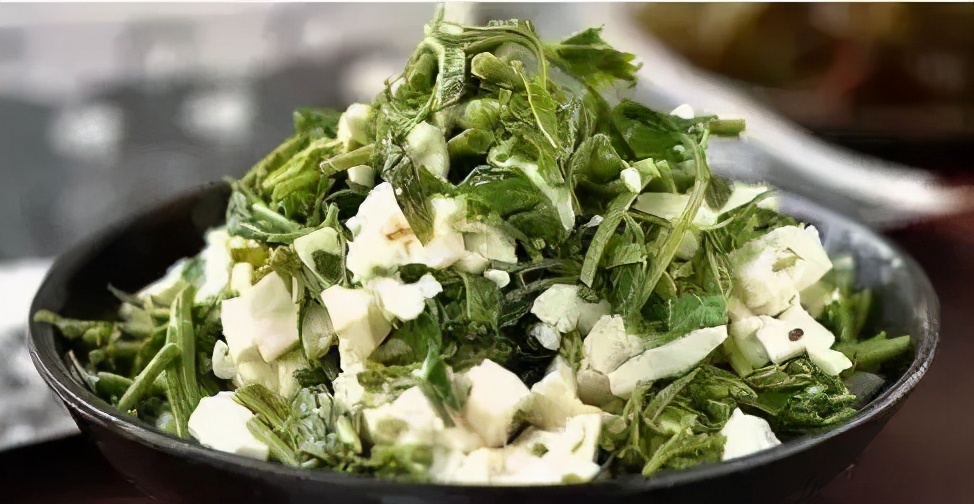 秋季适合吃香椿吗,春天吃香椿要注意哪些禁忌