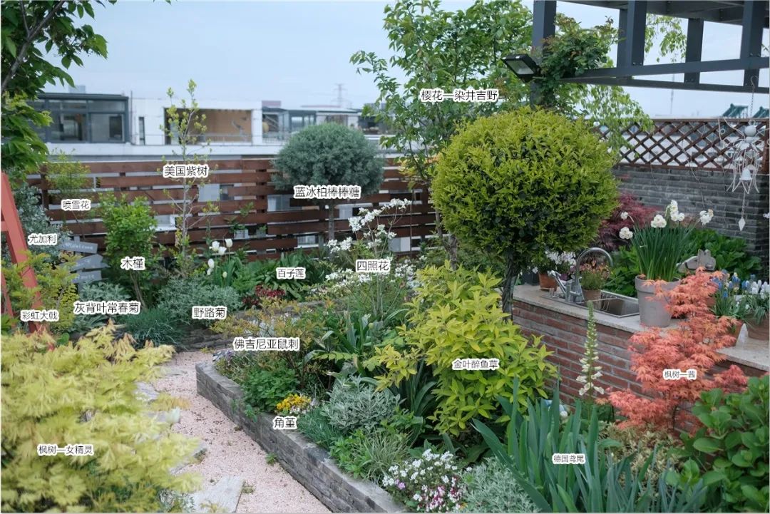 怎样打造露台花园,简单露台花园打造方法