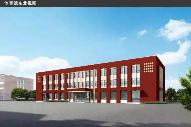 新区好学校,新区好的小学