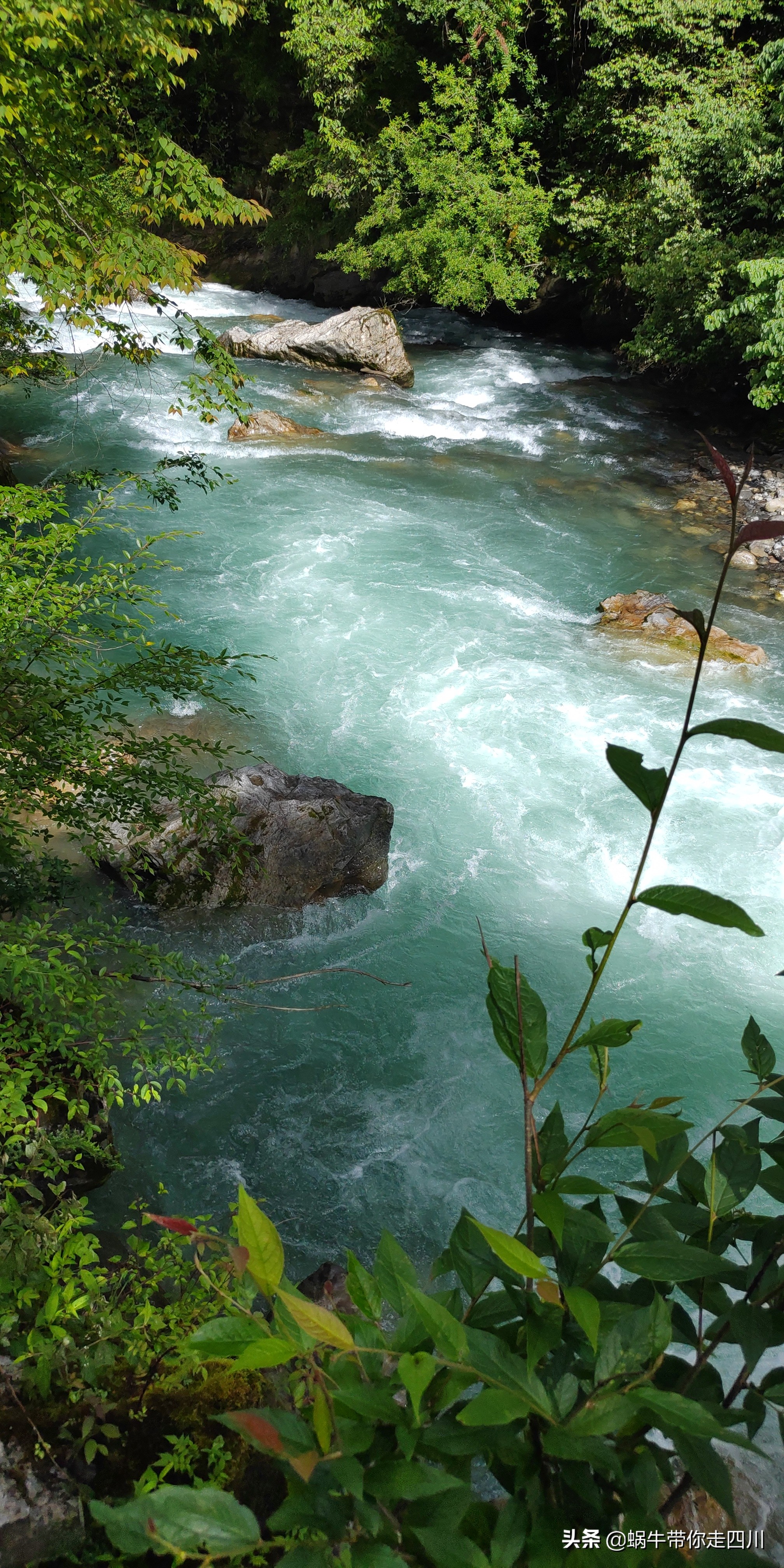 带小朋友出去看小动物,带小孩去海洋动物园