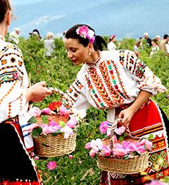 用了那么多年的纸巾你用对了吗,用了这么多年的牙膏你用对了么