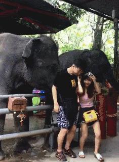 野小伙爱上富家千金,野小子搞笑视频