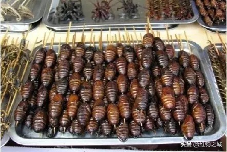 西双版纳最好吃的美食有哪些,西双版纳必吃十大美食