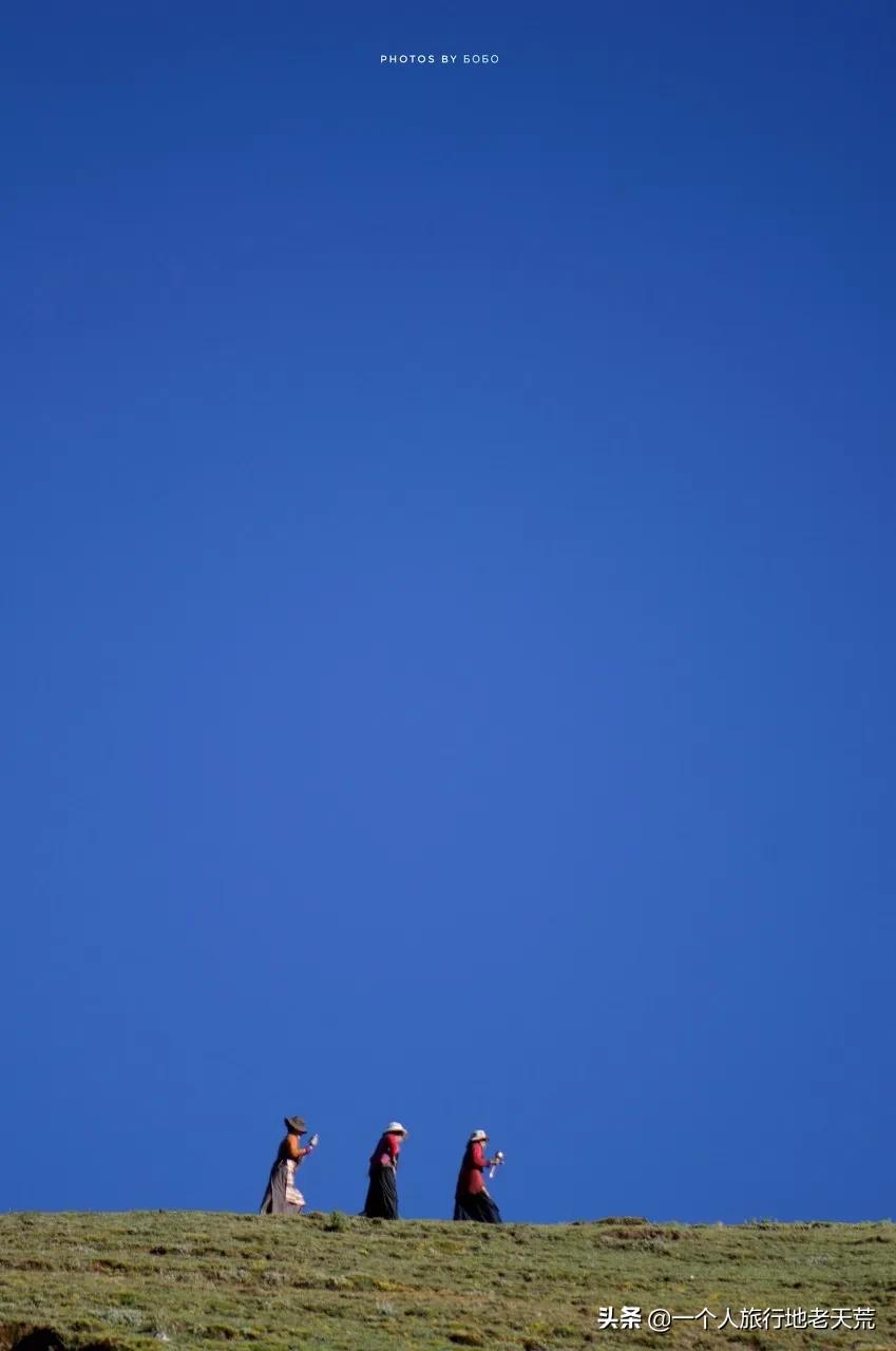 忽然想去自驾游了,想去川西看星空