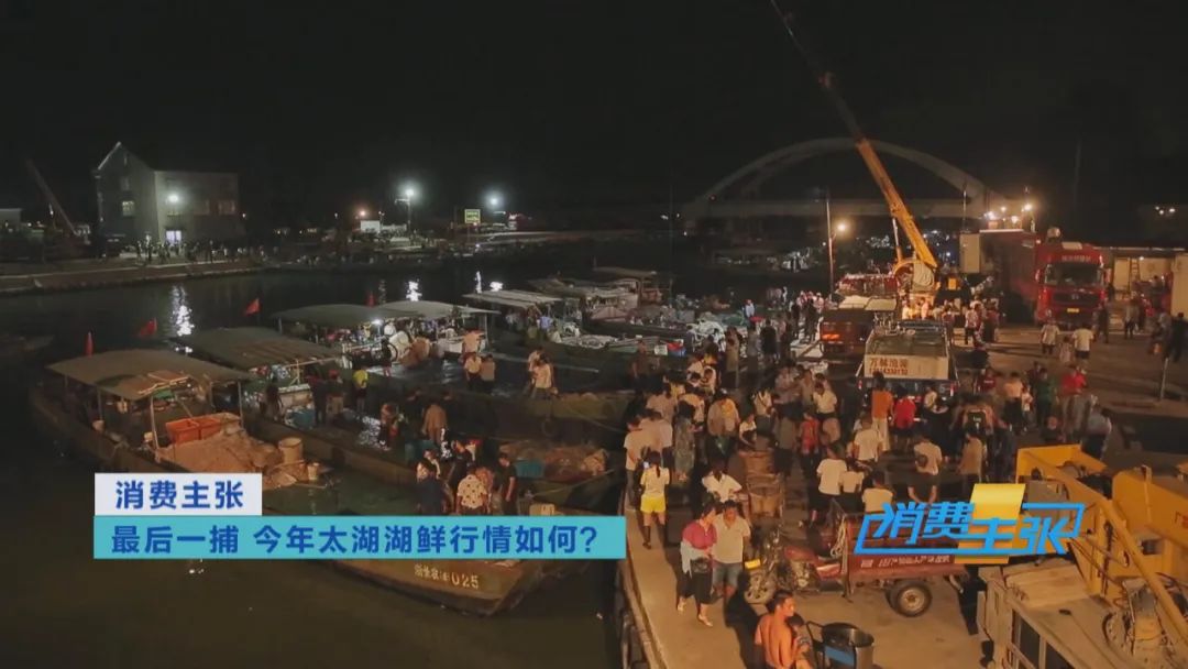 直击太湖开湖现场！鲜美湖鲜大量上市，资深吃货准备好了吗？