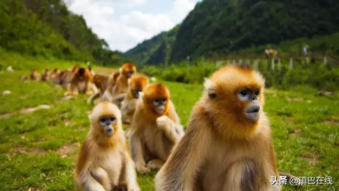 汉中周边踏青的好地方,四月汉中春天踏青的好去处