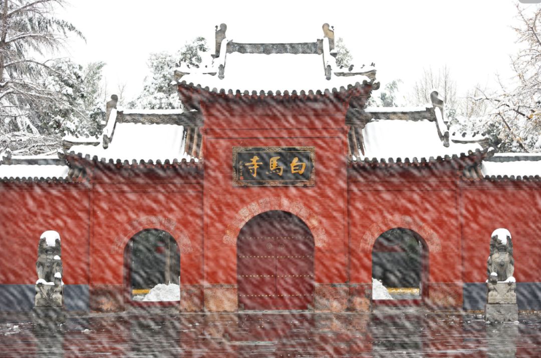 老家河南抖音,老家河南央视宣传片