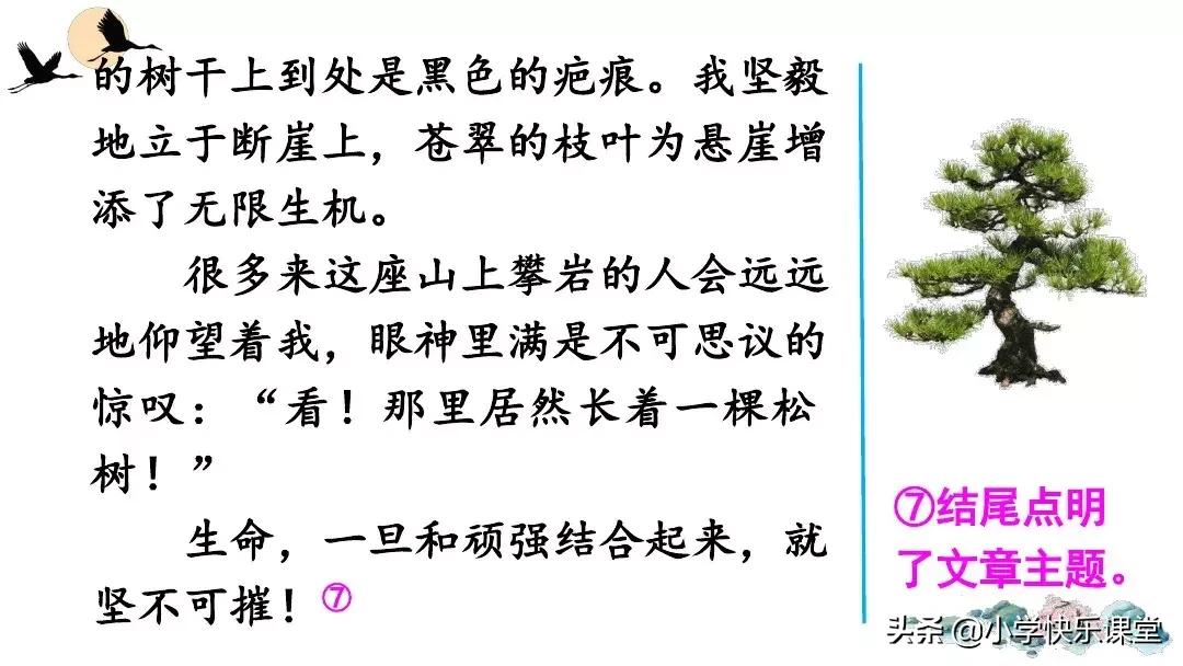 部编版六年级作文变形记范文,部编版六年级上册作文变形记教案