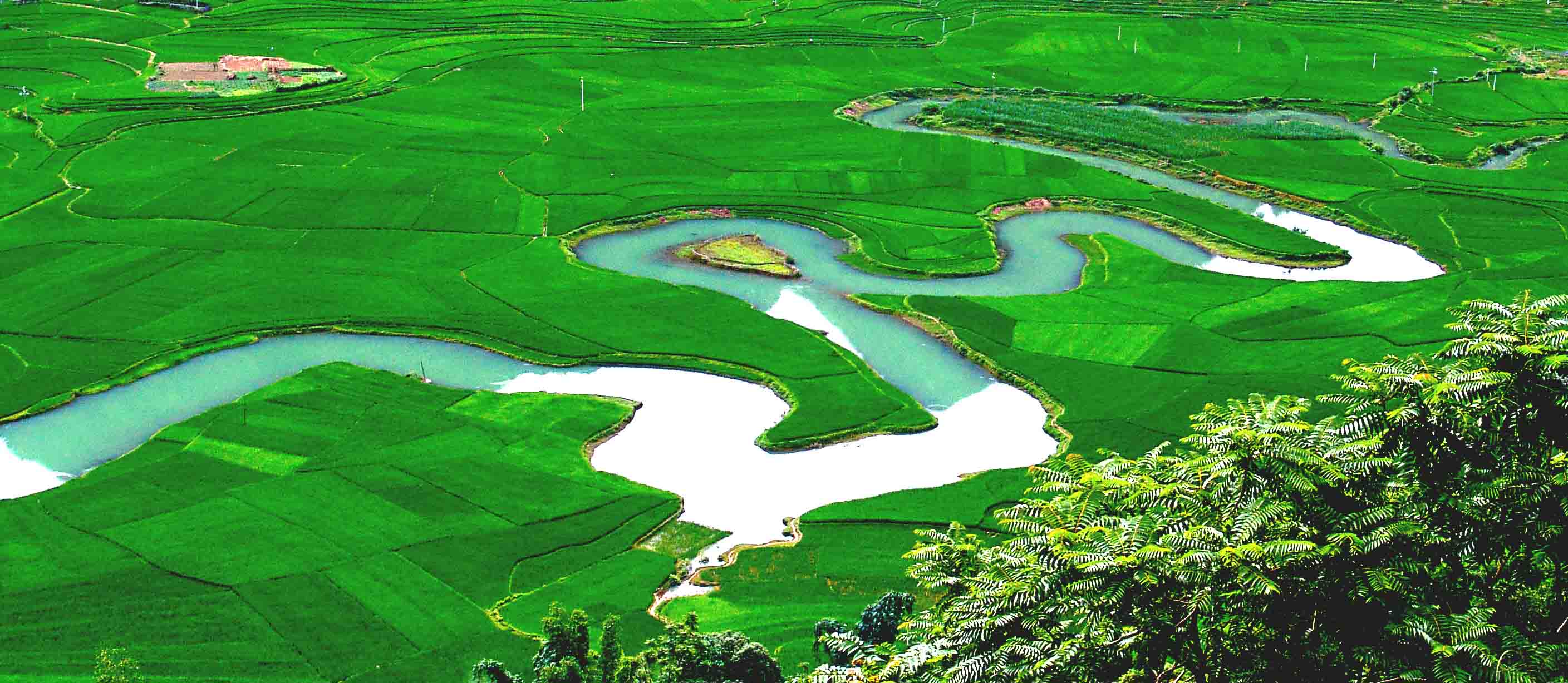 在南宁工作有哪些地方不能去,南宁周末去哪玩推荐吃的