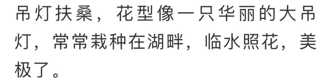 看到花的时候,不知是什么花?那就收下这份百花图谱