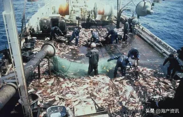 硬核科普全部,硬核科普大全视频