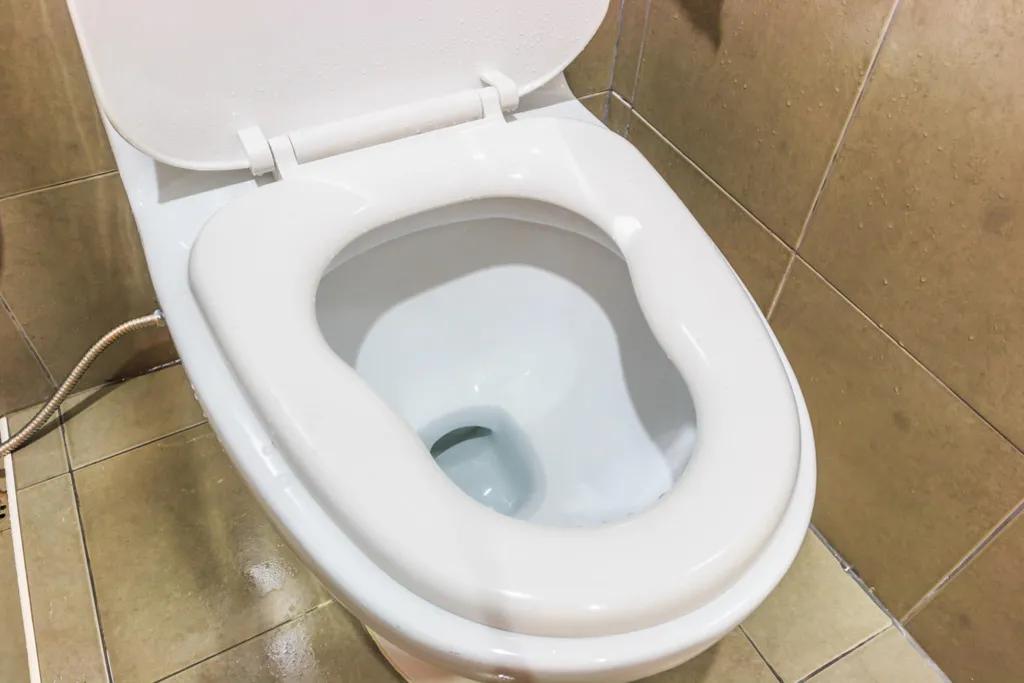 马桶脏水冲厕所的危害,马桶里放洁厕灵水倒流