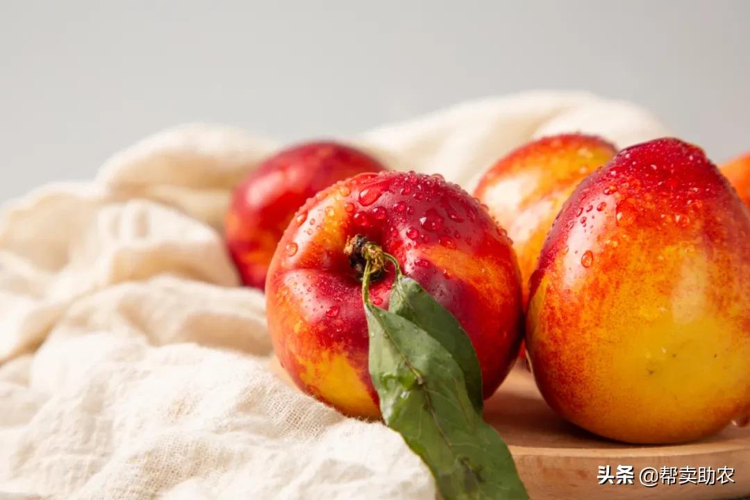 油桃脆甜多汁爽口,一口下去黄桃果肉绵密清爽冰沙