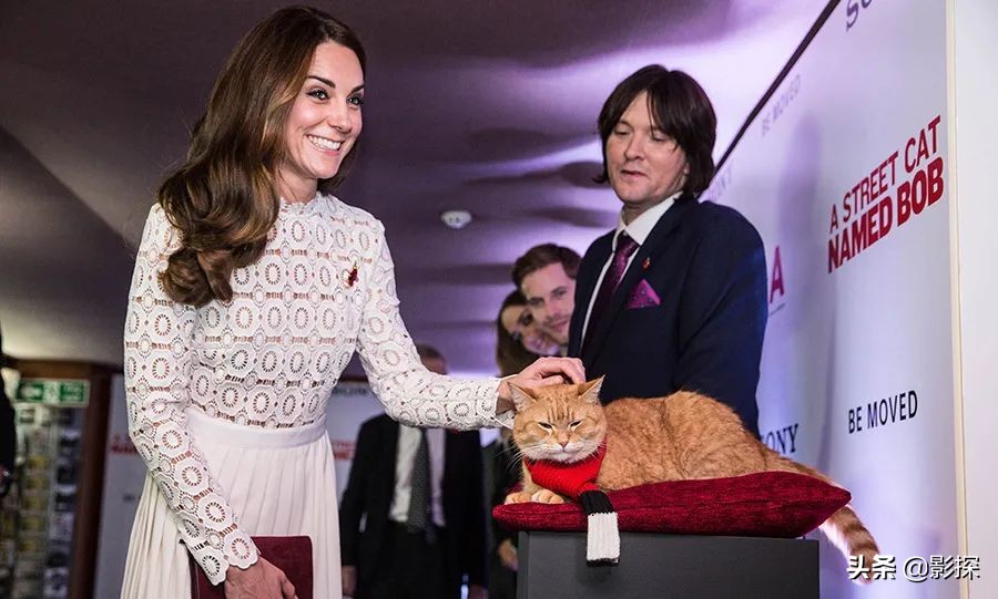 绁ㄦ埧榛戦┈鐩樼偣,绁ㄦ埧榛戦┈鍗囩骇鍥炲綊