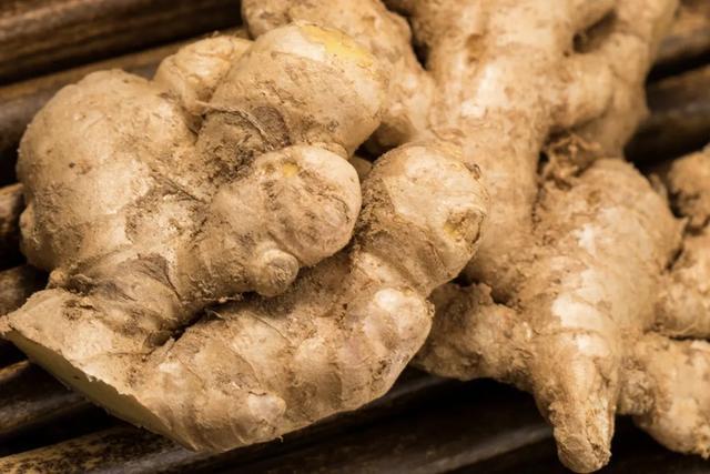 观赏盆栽生姜种植技术,阳台盆栽生姜种植小技巧