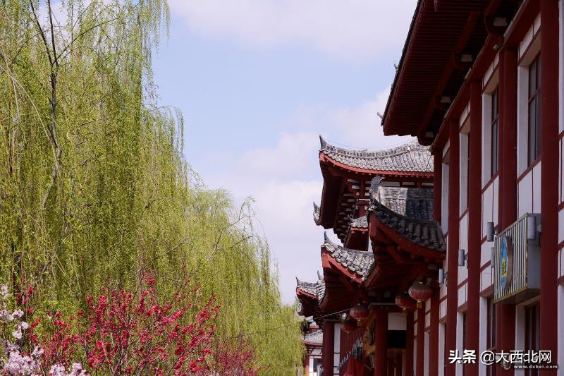 春天里，用诗词和陇西来一场跨越千年的对话……