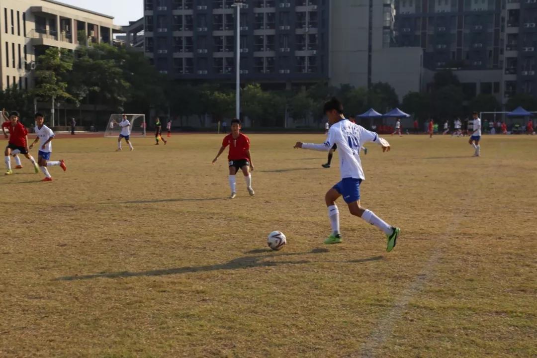 桃城中学2024年中考喜报,桃城中学喜报