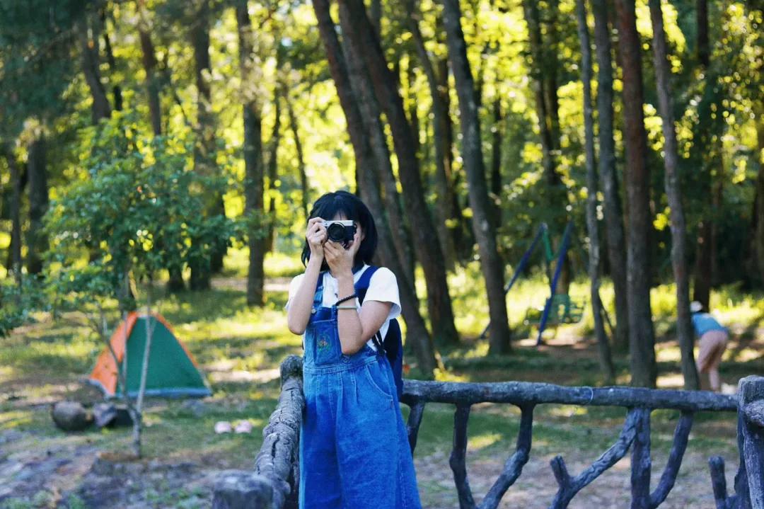 夏天泰顺避暑,泰顺度假胜地