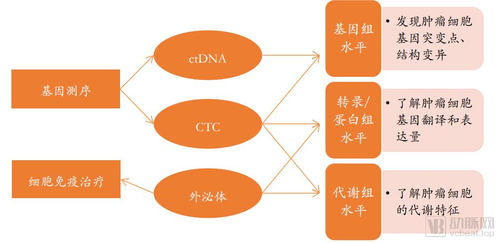 揭秘！贯穿肿瘤诊断、治疗全周期的液体活检，国内应用情况如何？