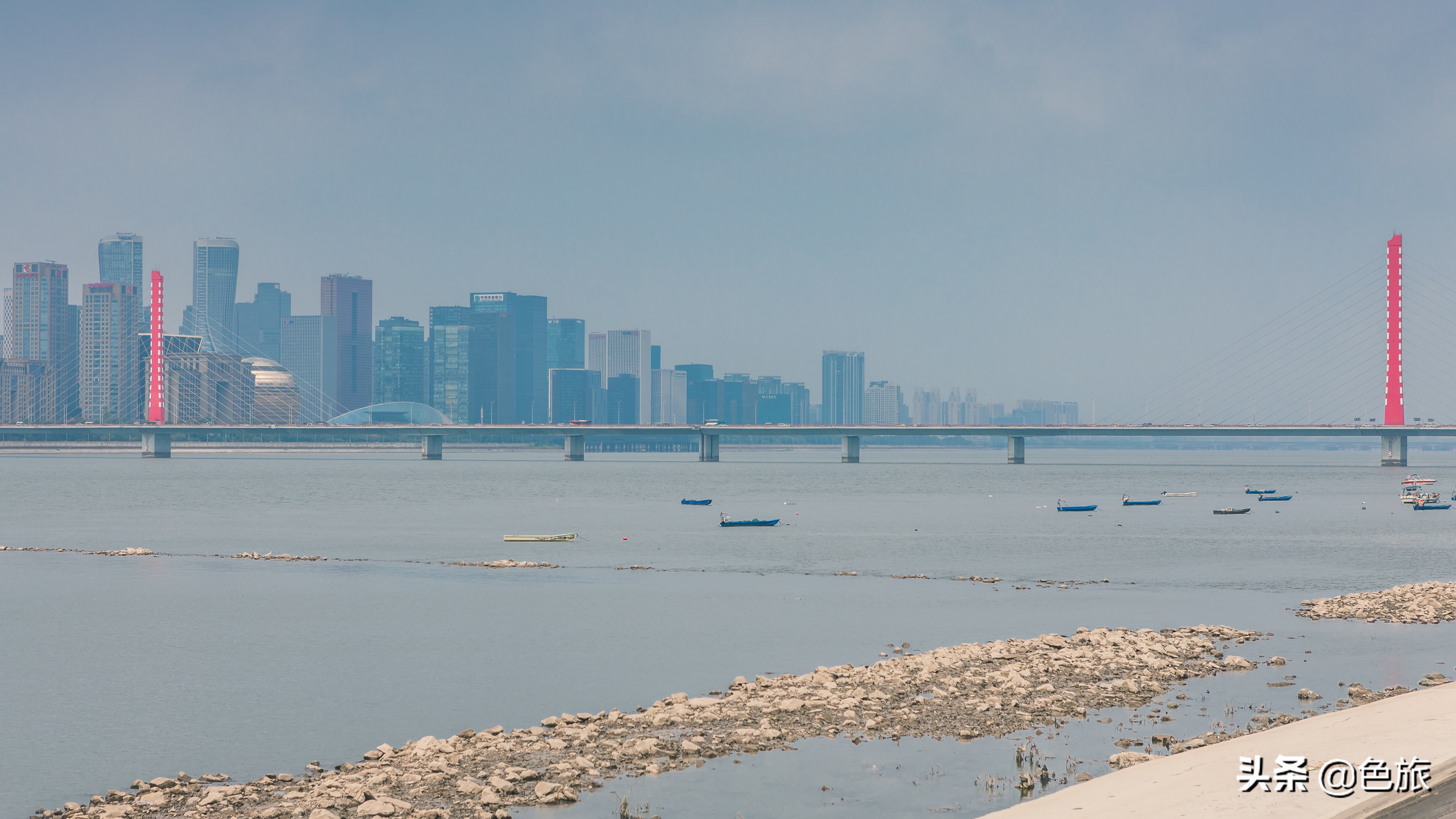 杭州花海网红打卡,杭州粉黛花海打卡地
