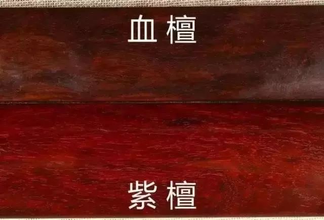 紫檀的真实身份,紫檀的一生