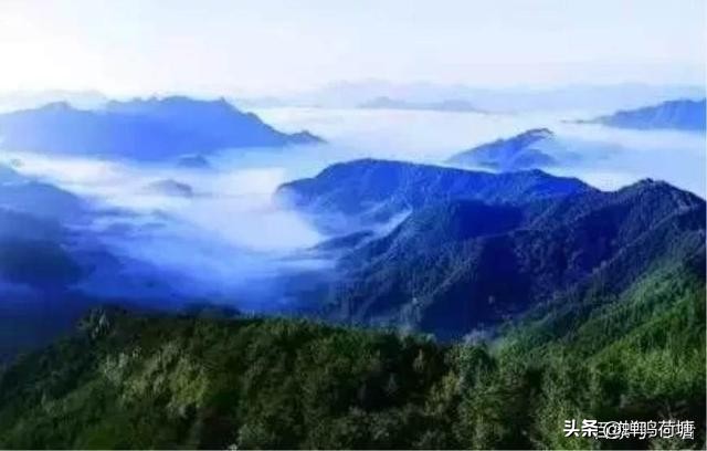 《游遍南阳》作者:石为璧