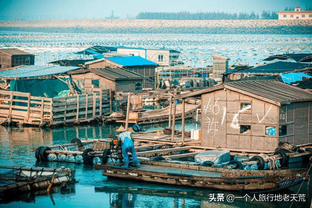 海蓝媲美三亚,福建这个被低估的宝藏地,夏天去太舒服了