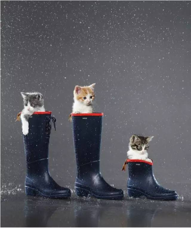 成都立夏,我却在买雨伞、雨靴和雨衣?!为了美也是拼了……