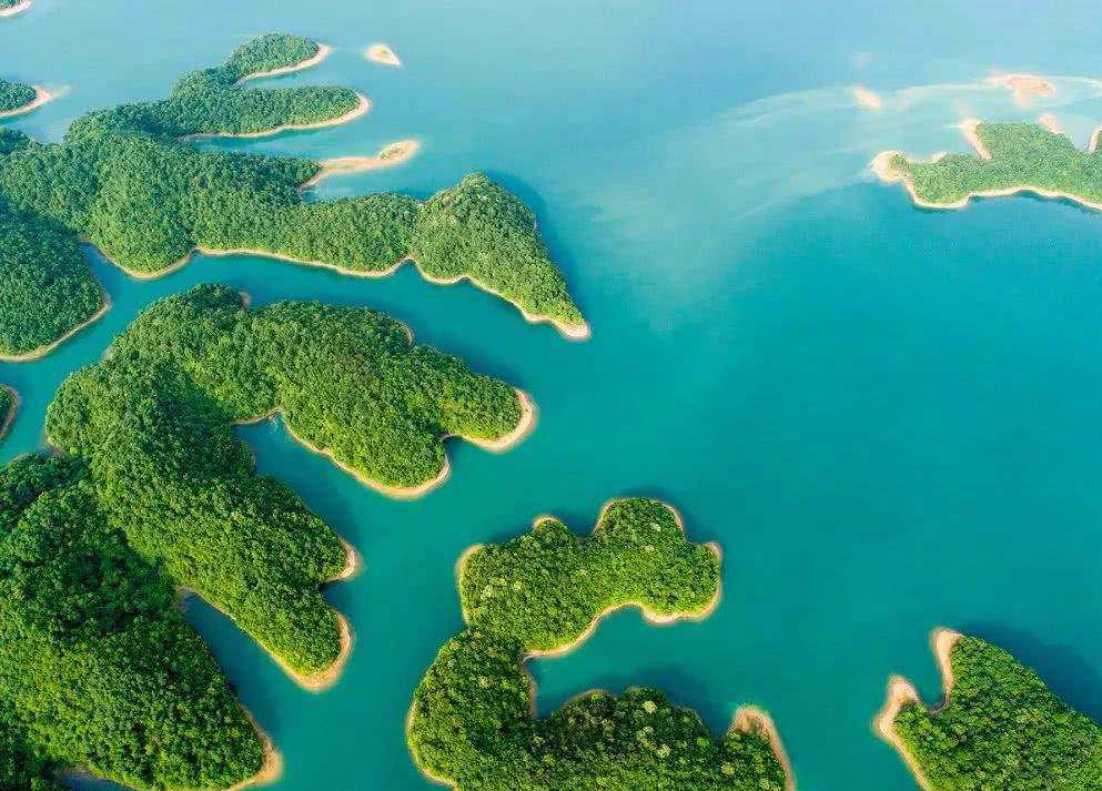 4万尾鲫鱼一年成本,鲫鱼一条成本多少钱