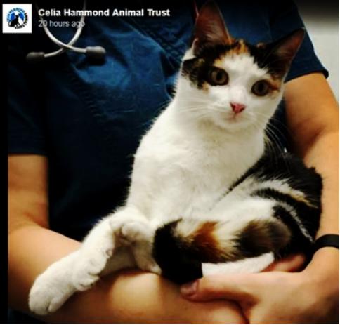 英国4至12岁孩子115个问题请115位大师解答！（系列二）