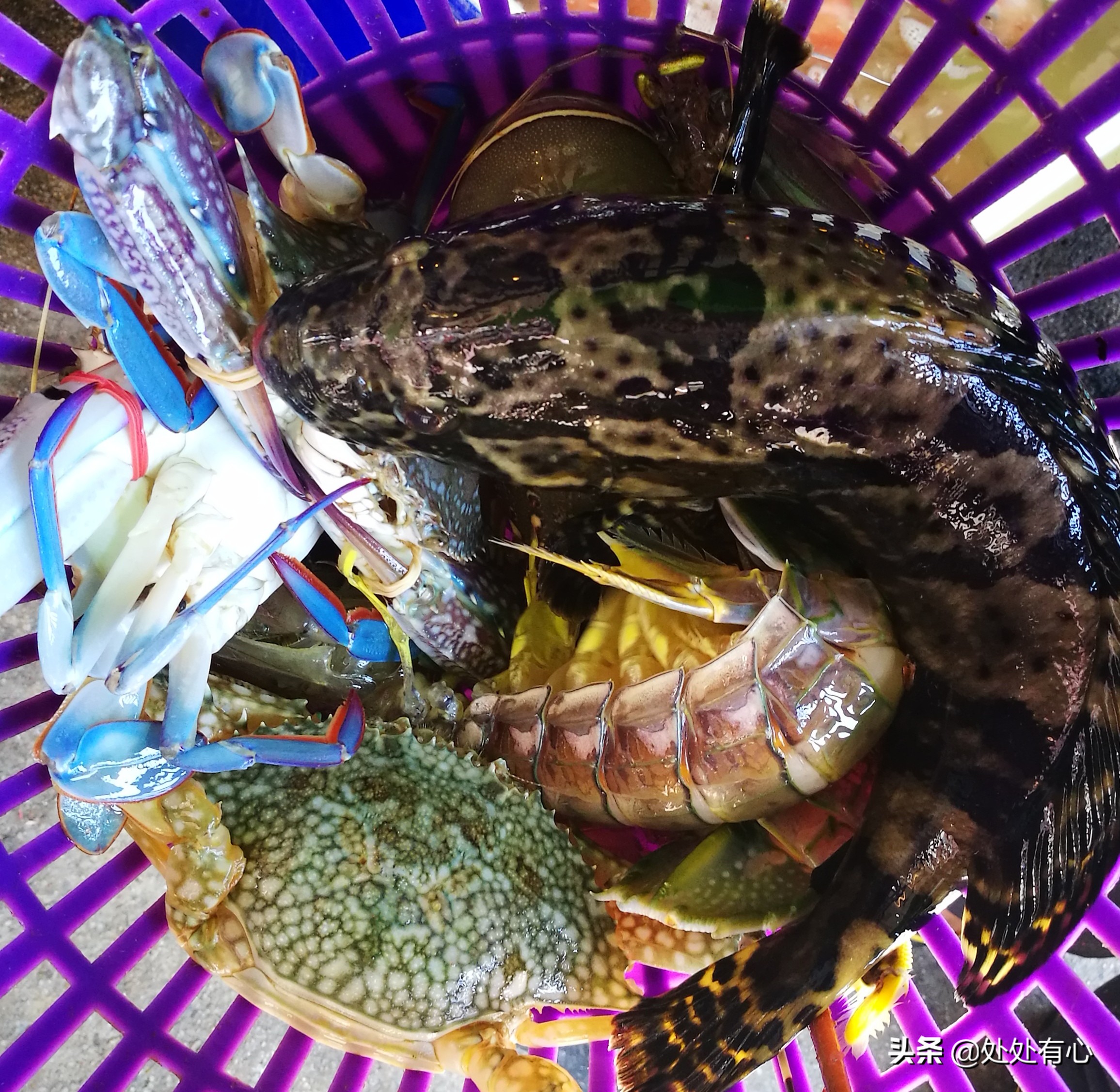 泰国旅游攻略普吉岛美食,去泰国普吉岛美食攻略图