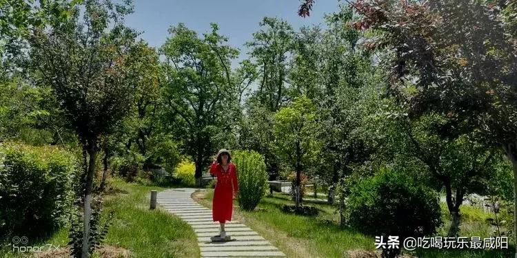 陕西哪三个县被评为天然氧吧,陕西中国天然氧吧之城