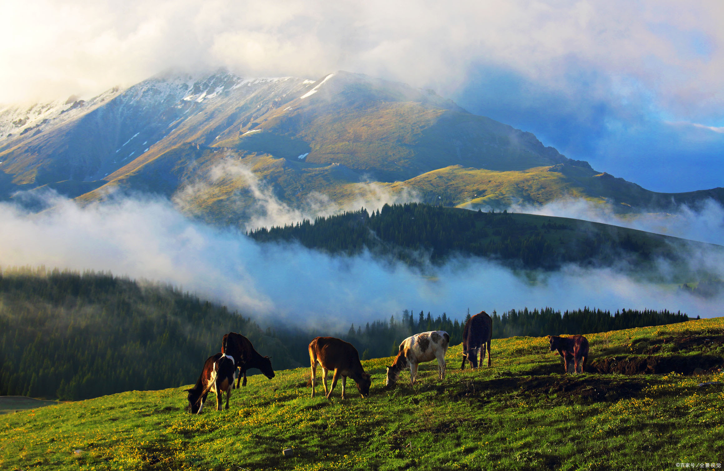 新疆伊犁果子沟风景素材,新疆伊犁果子沟美景