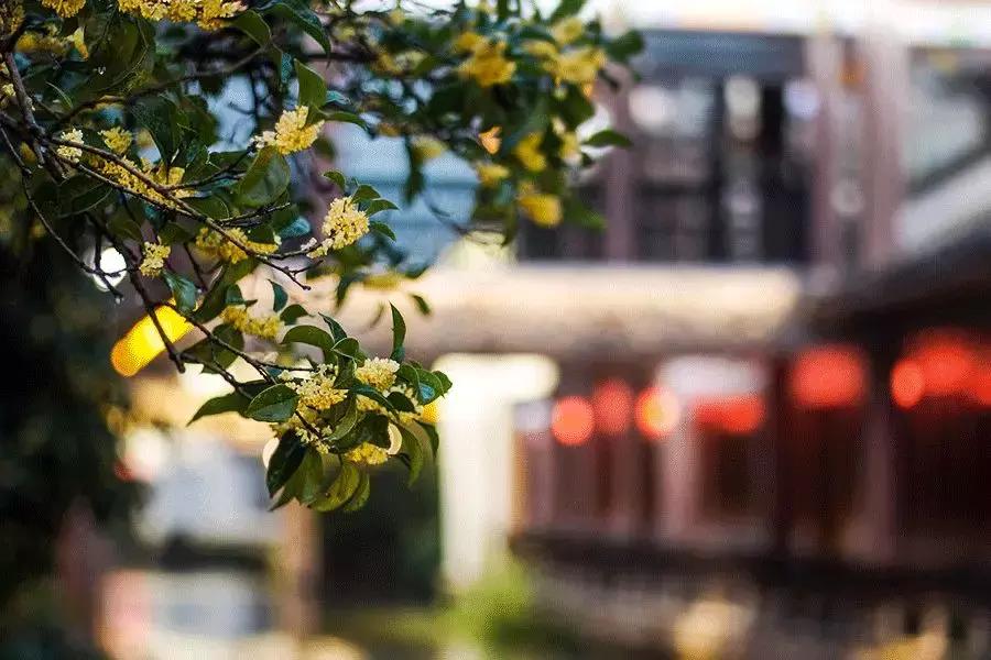 治家格言解析完整版汇集100句,治家格言100篇