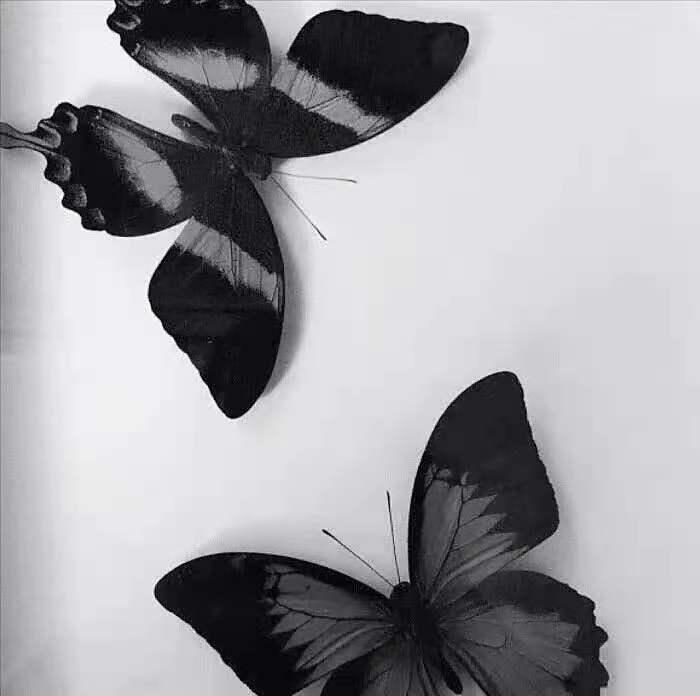 朋友之上恋人未满的动漫,朋友之上恋人未满用什么词来形容