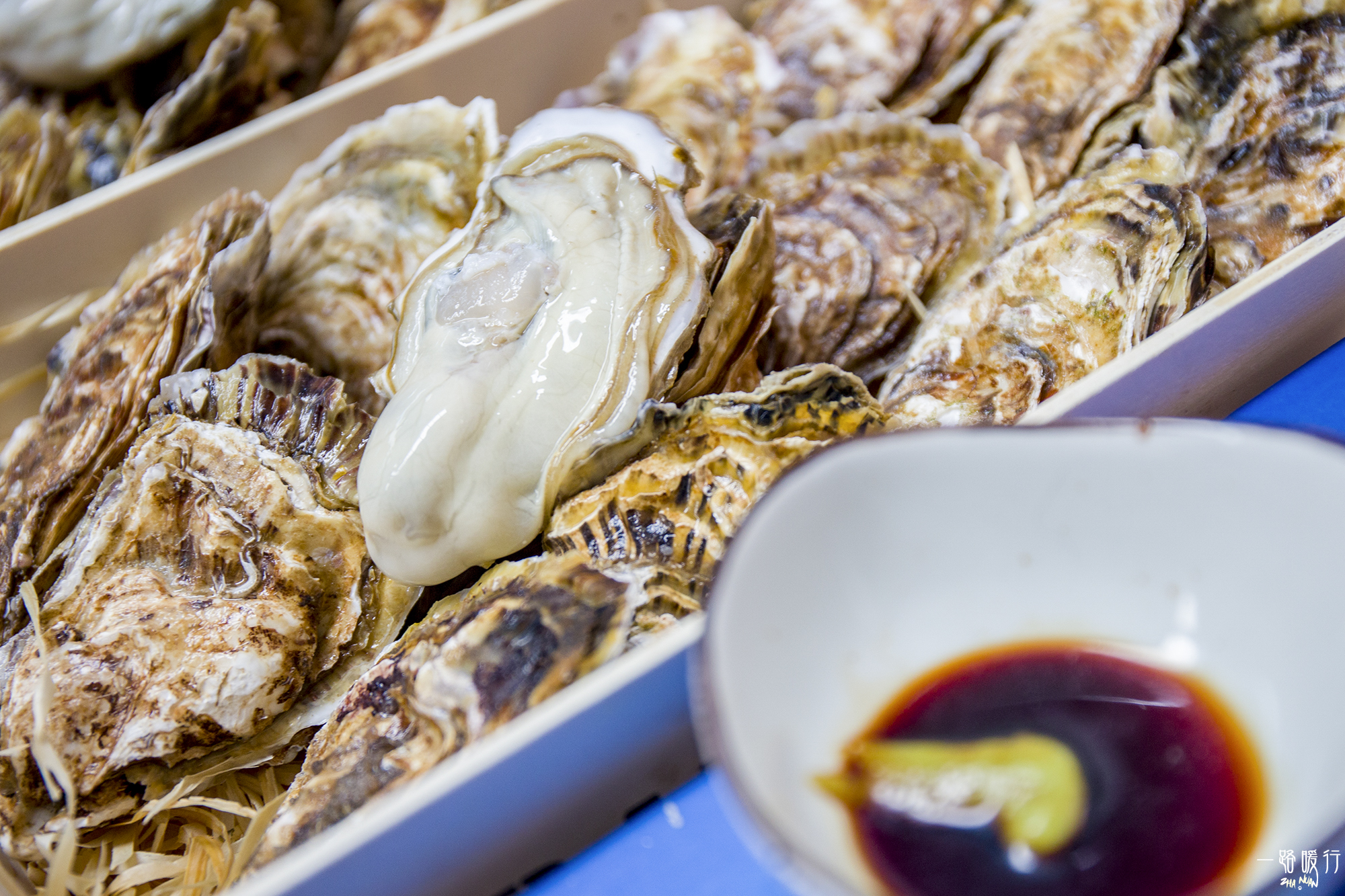 乳山冬季海蛎子,乳山海边海蛎子