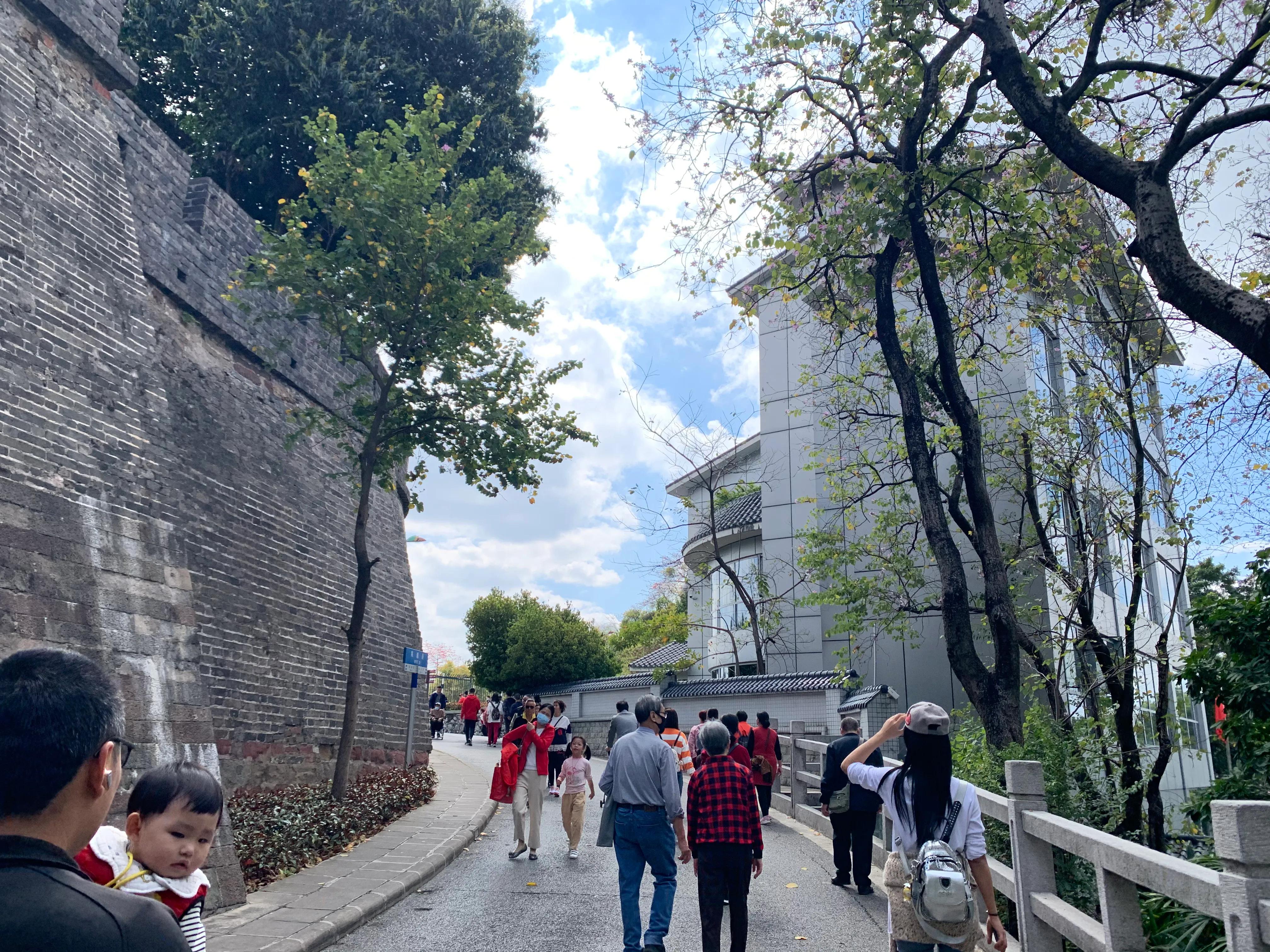 春节期间的越秀公园,越秀区元旦游玩