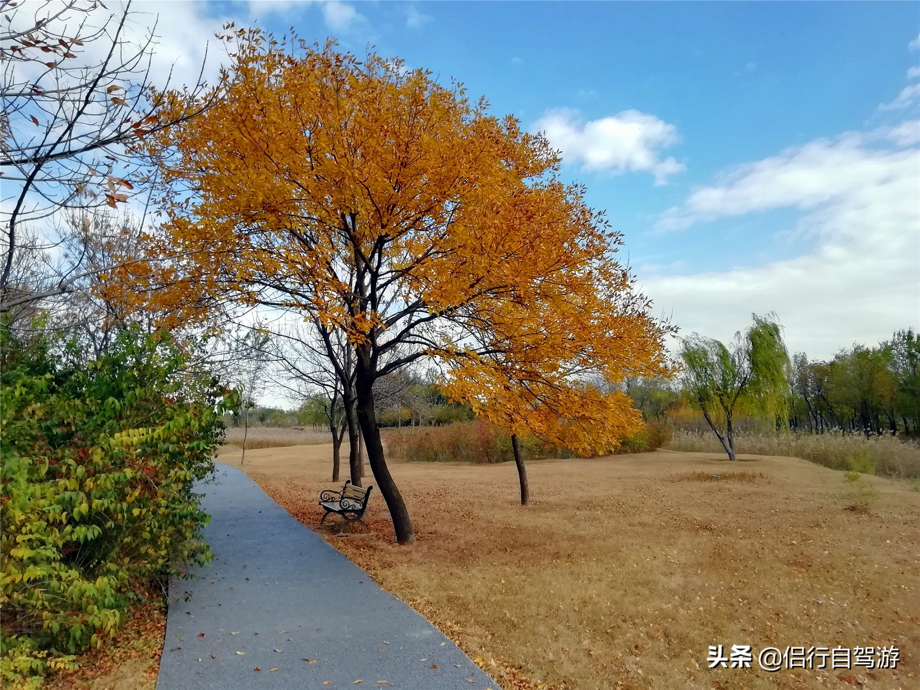 天津冷门却超美的海边小镇,天津大港旅游攻略