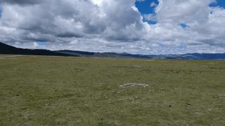 感动！金堂女医生自己输着氧连做3台手术