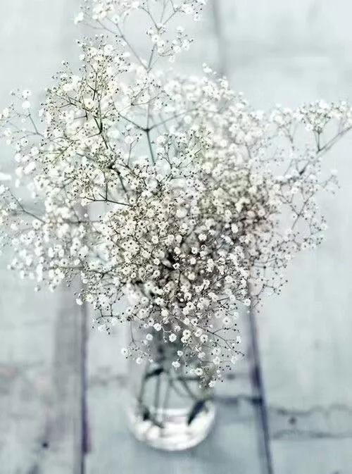 纯小白买花攻略,小白买股实操