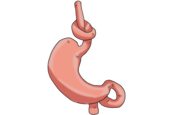 做胃镜没一年可以再做胃镜吗,做完胃镜一年之内还用做胃镜吗