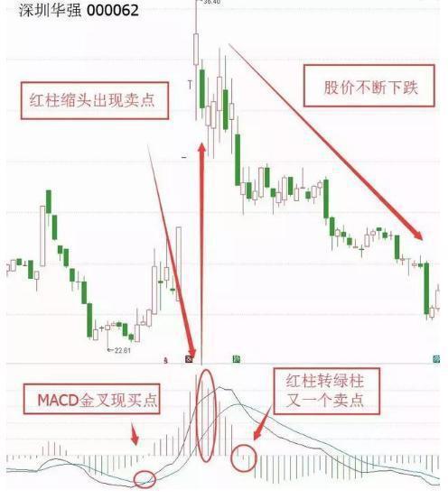 一位北大女博士谈股票,北大一个女博士演讲