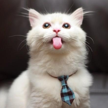 开心幽默搞笑说说,忘记烦恼开心生活的句子说说心情