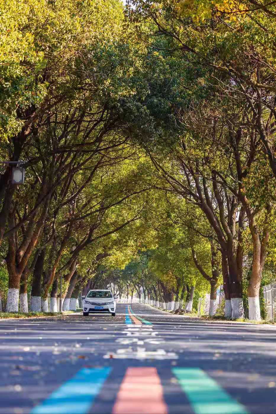 “锡山”“惠山”成名记,无锡闪耀双子星实力对比
